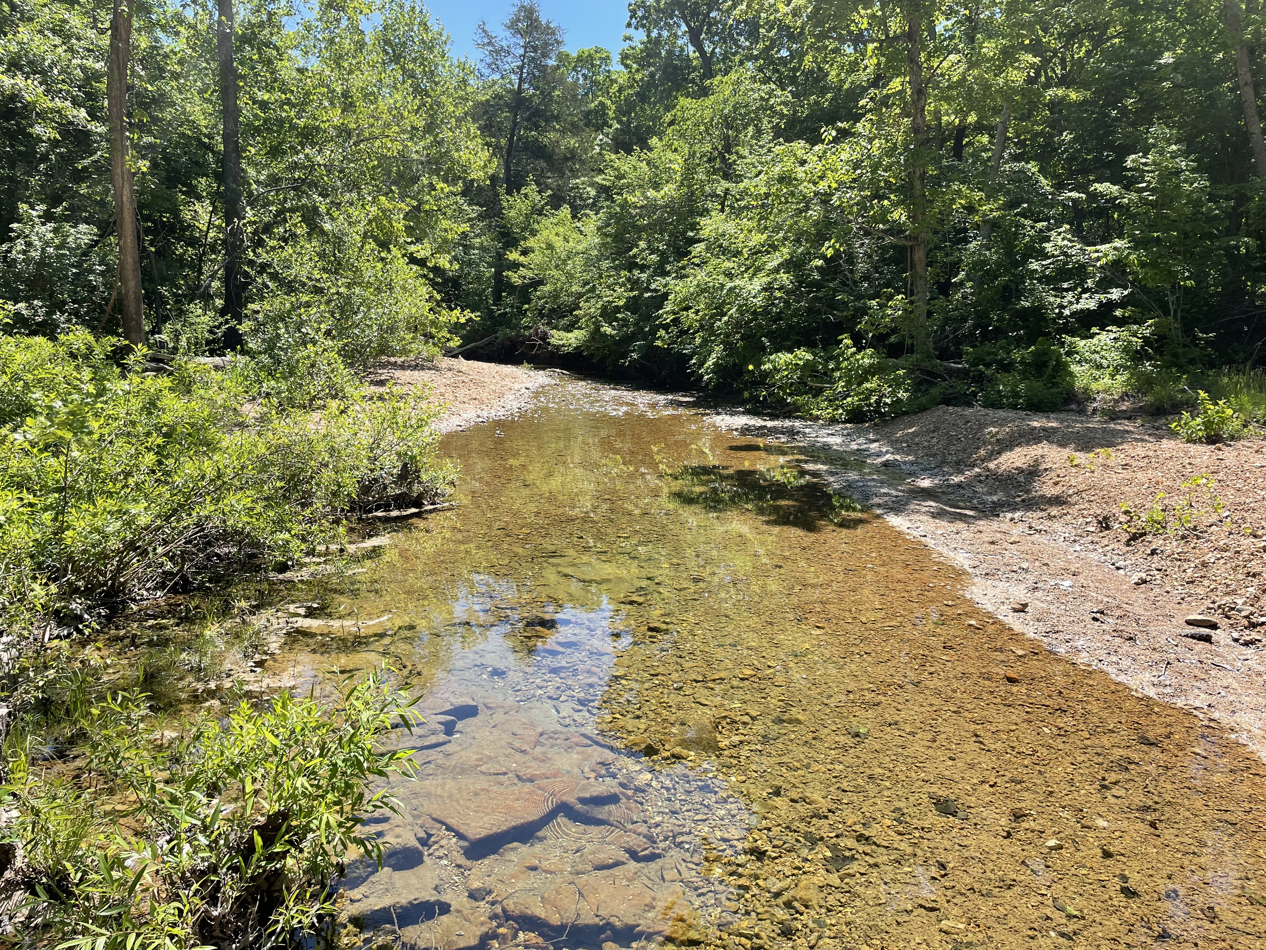Dillard Mill