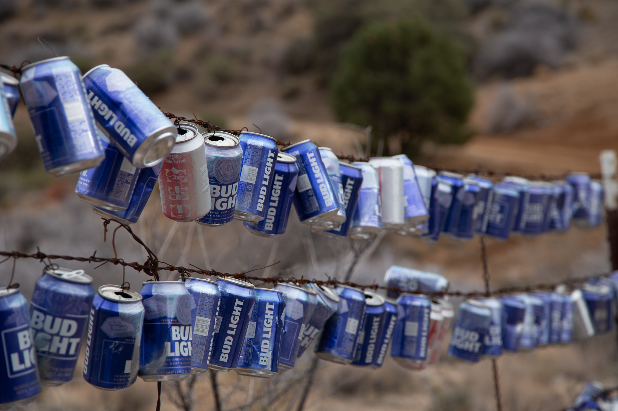 The Budweiser Fence