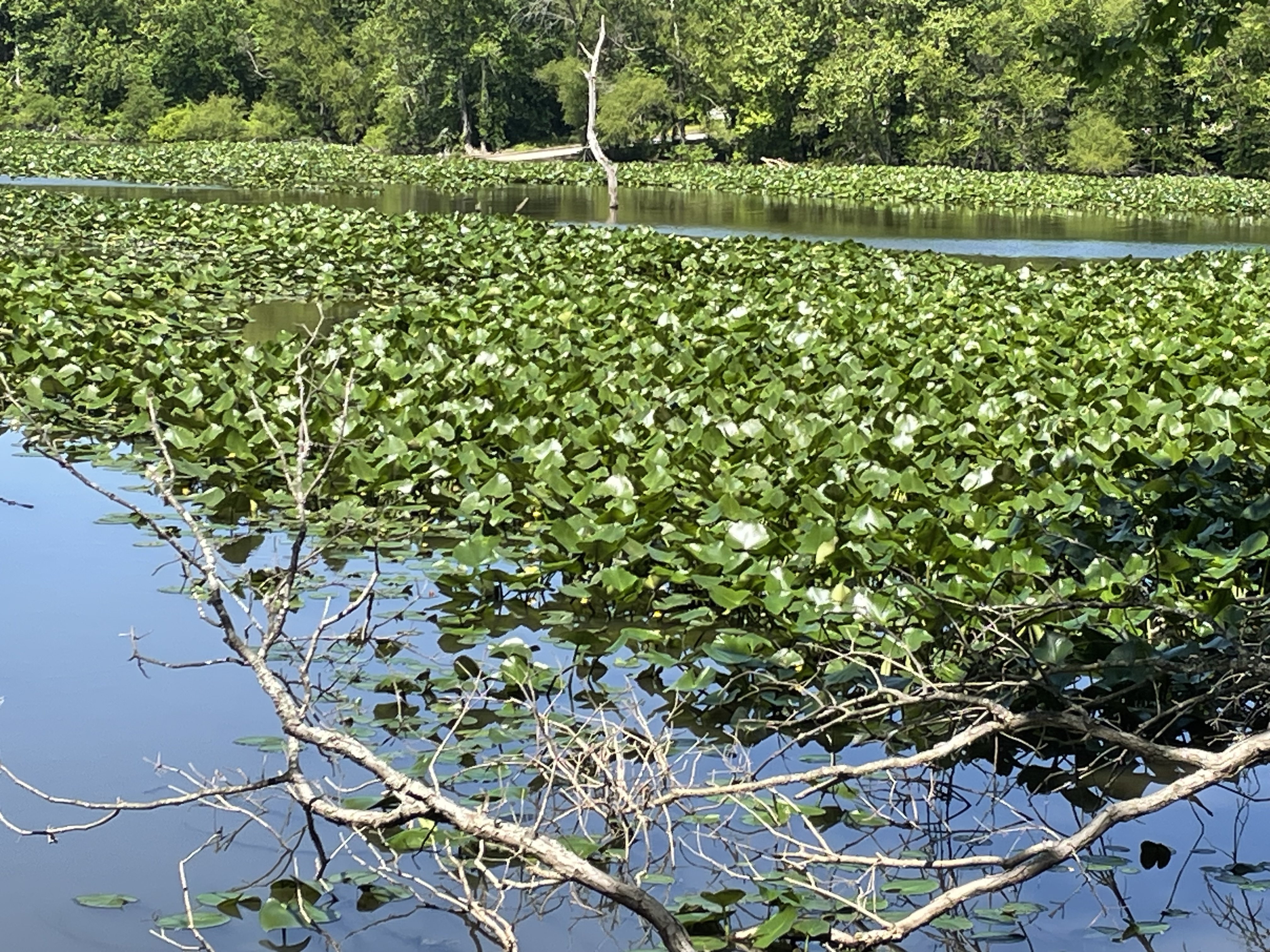 Perry Lake, Missouri