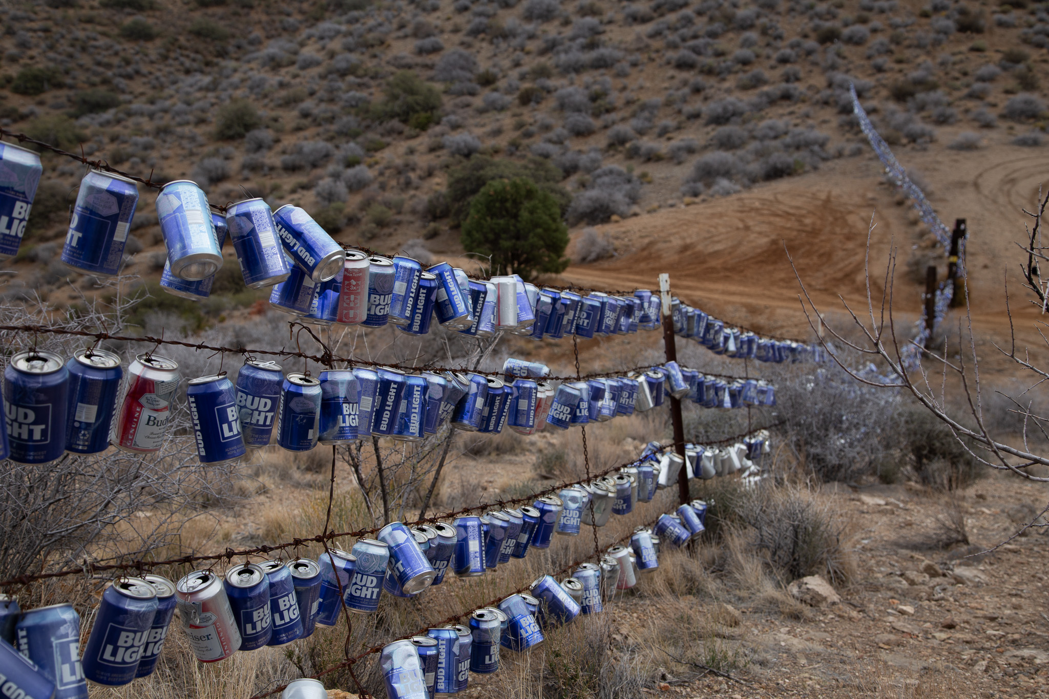 The Budweiser Fence