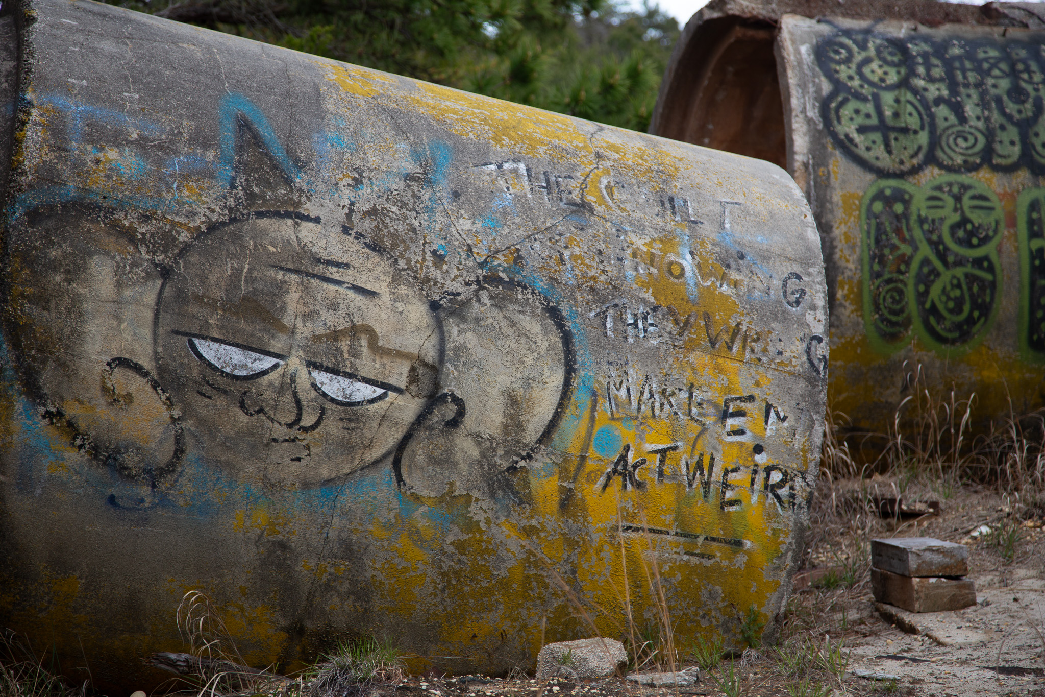 Exploring the Fries Mill Ruins