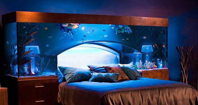 Harnessing the Magic of Romantic Dreams: Tips for Enhancing Your Dream Experiences