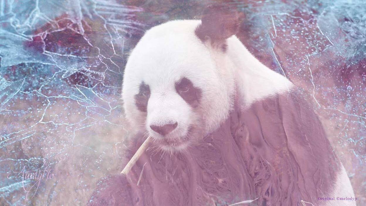 The Science of Dreaming: Exploring the Fascinating World of Dreams and Their Significance