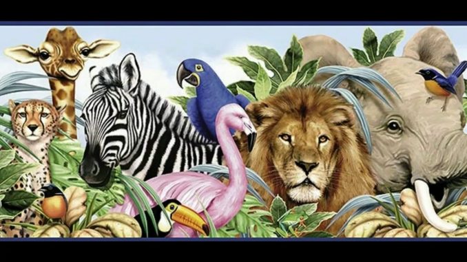 Unlocking the Secrets of Lucid Dreaming with Dream Animals as Your Allies