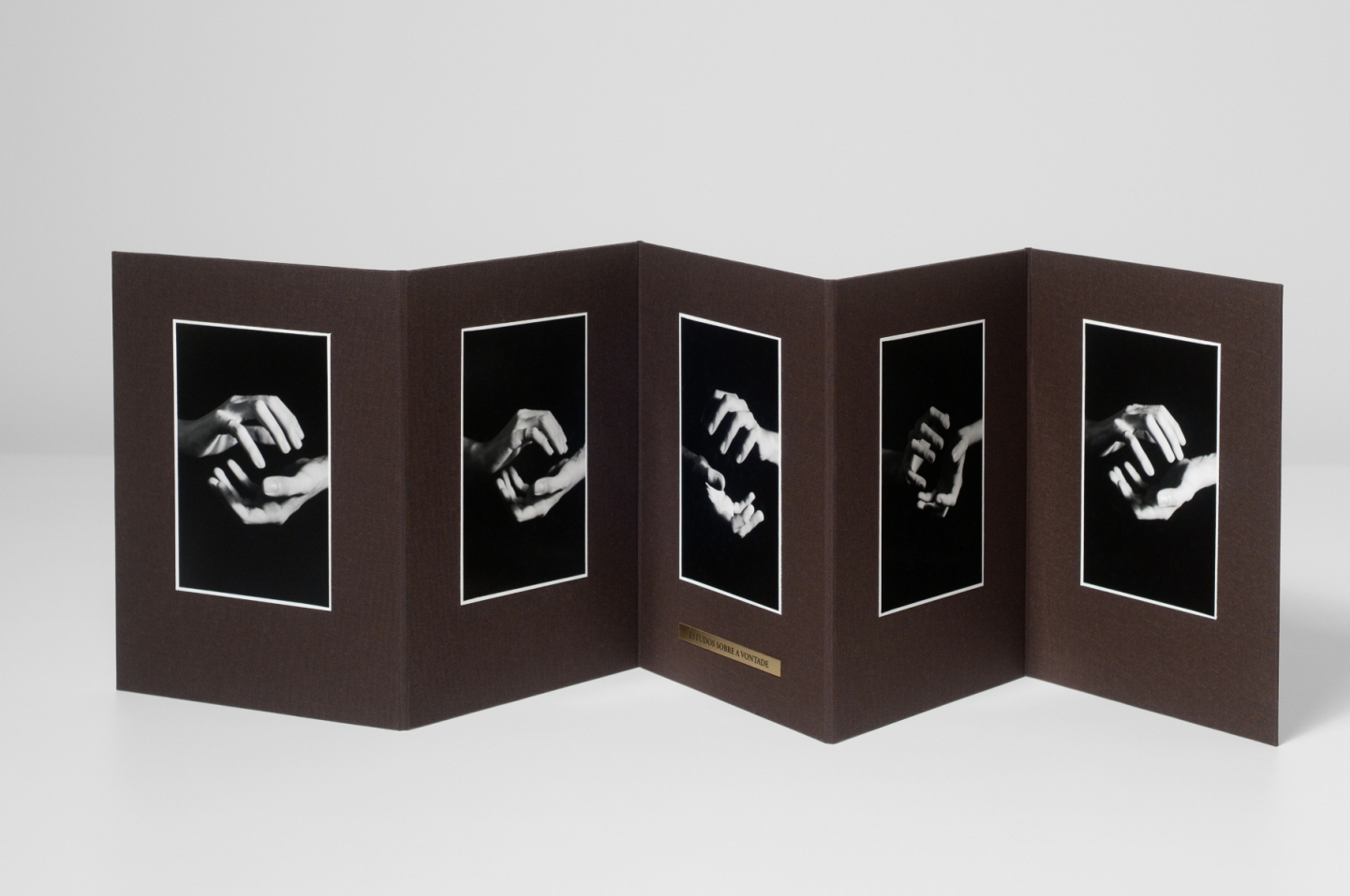 Waltercio Caldas inaugura retrospectiva de seus múltiplos no Rio