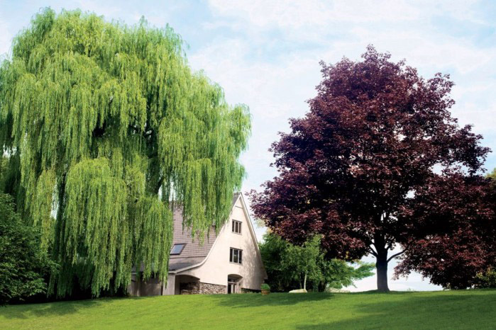 A casa dos sonhos do diretor hollywoodiano Shawn Levy, em New Paltz