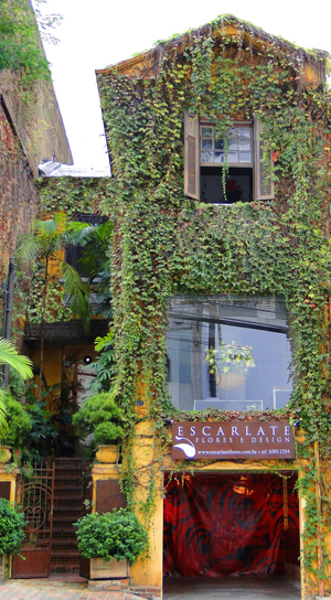 Floricultura Escarlate comemora 30 anos com exposição de arranjos