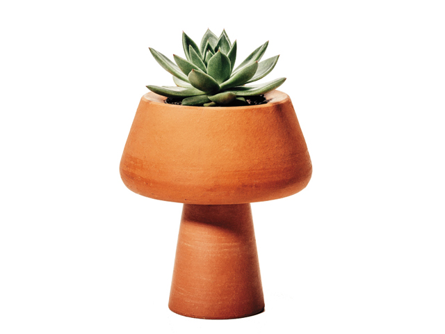 Revista J.P faz seleção de cerâmicas úteis e versáteis