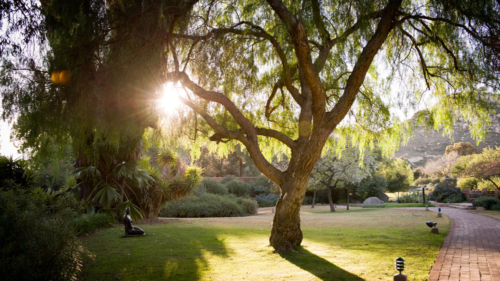Destinos exclusivos para cuidar do corpo e da mente estão entre os mais procurados pelos workaholics