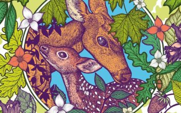 Direto de Paris - Dia 20 de Dezembro