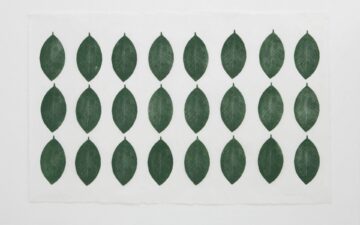 MASP apresenta seminário dedicado às histórias da ecologia  