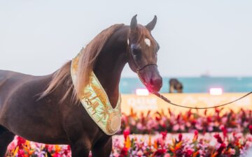 Global Champions Arabians Tour estreia no Brasil com etapa inédita em São Paulo