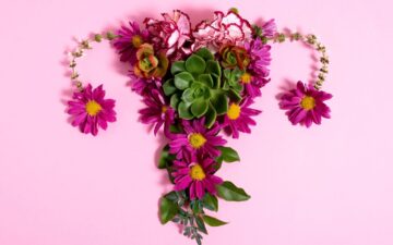 Congelamento de óvulos: o que você precisa saber para preservar a fertilidade em 2026