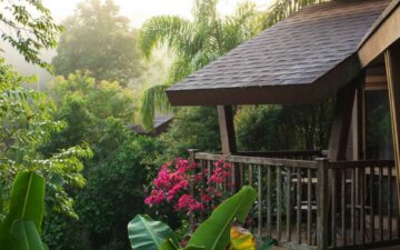 Retiro de bem-estar em meio à natureza terá três edições no interior de São Paulo