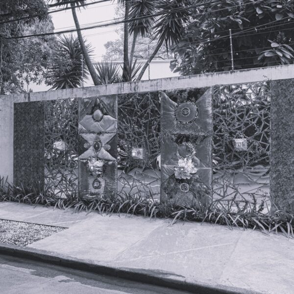 Casa Mundo Particular ocupa galeria em São Paulo com mostra que aproxima arte e questões ambientais