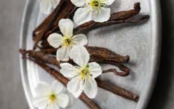 Baunilha além do doce: 14 perfumes que revelam o lado mais sofisticado da nota
