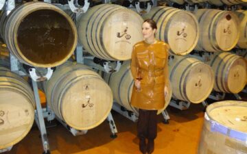 Uma imersão nas Cape Winelands, as regiões vinícolas de Stellenbosch, Franschhoek, Paarl e Constantia na África do Sul