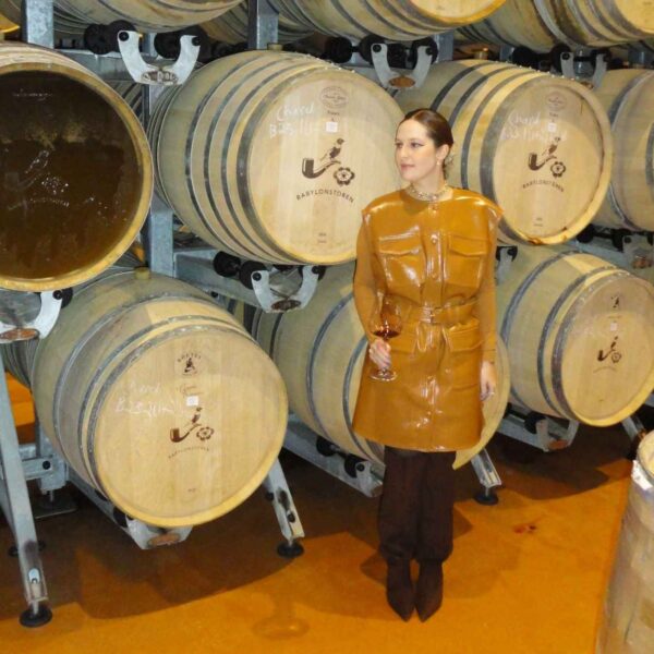 Uma imersão nas Cape Winelands, as regiões vinícolas de Stellenbosch, Franschhoek, Paarl e Constantia na África do Sul