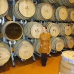 Uma imersão nas Cape Winelands, as regiões vinícolas de Stellenbosch, Franschhoek, Paarl e Constantia na África do Sul