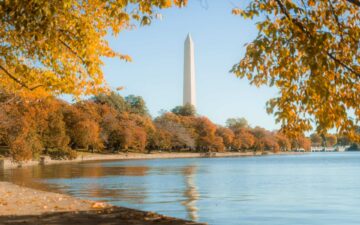 Washington revela um outono entre arte, hotelaria e experiências exclusivas