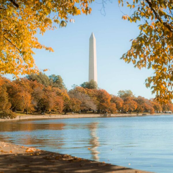 Washington revela um outono entre arte, hotelaria e experiências exclusivas
