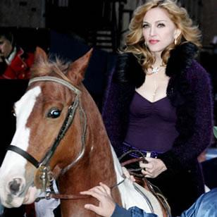 Madonna procura lugar para guardar seus cavalos