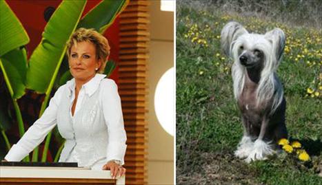 Ana Maria Braga tem um novo morador em casa