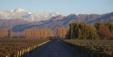 Glamurettes se mandam para Mendoza, na Argentina