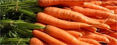 Que tal seria reduzir 30% do seu apetite? É isso que o Slim Shots, produto que a Nutricé Laboratoires traz da Suécia, oferece aos glamurettes.