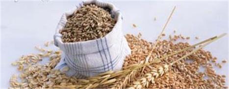 Rola na Casa Glamurama, nesta sexta-feira, a apresentação do Slim Shots. Trata-se de um produto que ajuda a reduzir em 30% o apetite dos glamurettes.