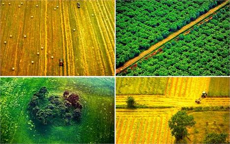 A partir desta quinta-feira, Kika Lerner mostra em exposição no MuBE uma série de imagens que fez a bordo de um helicóptero.