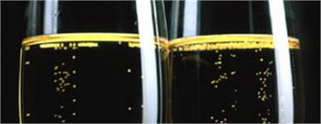 Glamurama começa a semana comemorando: na última sexta-feira nossa audiência ultrapassou os 140 mil visitantes únicos.