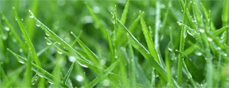 Serão conhecidas neste sábado, em Campinas, as melhores duplas de piloto e navegador da temporada 2009 do Campeonato Mitsubishi Motorsports.