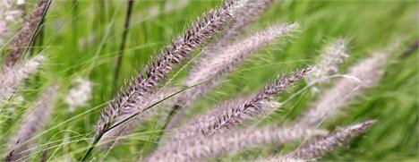 O Depósito São Martinho recebe nova ambientação, nesta terça-feira, assinada por Vic Meirelles.