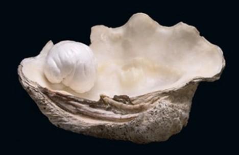 Segunda maior pérola já documentada no mundo será colocada em leilão no próximo dia 6