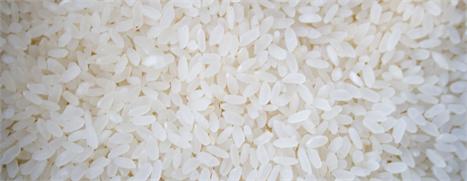 Glamurama dá detalhes do casamento da filha de Roberto Setúbal, presidente executivo do Itaú Unibanco.