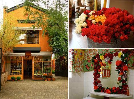 A revista “Modo de Vida” já está nas bancas e traz um perfil da charmosa Bothanica Rosiers.