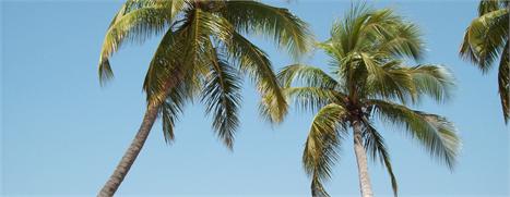 Festa Sunglasses anima a programação dos glamurettes em Angra dos Reis.