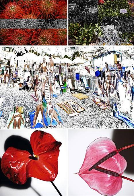 Glamurama adorou conhecer o trabalho da jovem fotógrafa Daniella Pusset.