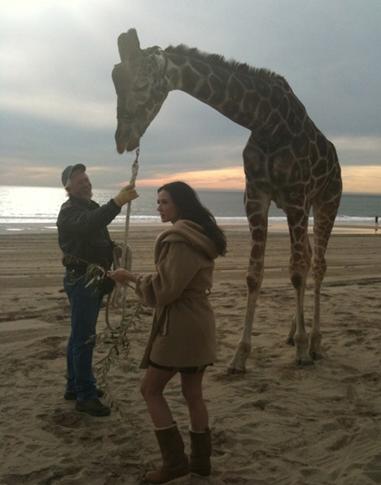 Demi Moore é severamente criticada no Twitter.