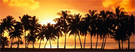 O aeroporto de Miami estava movimentado nesta manhã. Tudo por conta de uma turma de brasileiros que chegaram por lá.