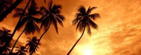 Angra dos Reis também vai ferver de glamurettes nos próximos dias.