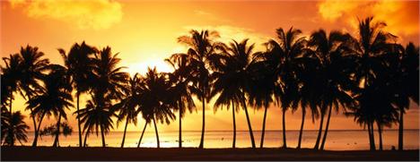 Hotel Concept está de volta, e promete agitar os glamurettes em Salvador.