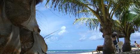 O ex-tudo José Dirceu está em temporada baiana. Ele curte dias de sol e de sal, na Praia do Forte.