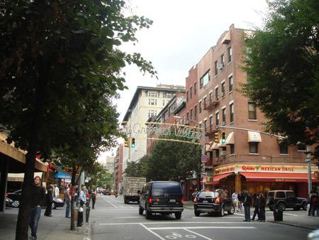 West Village, em Nova York, está com uma epidemia de ratos.