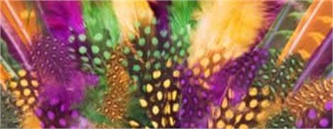 Glamurettes, não fiquem por fora dos detalhes do Carnaval.