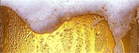 Presenças especiais já confirmaram a folia no Camarote Brahma da Sapucaí.