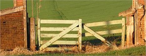 Roberto Carlos grava CD e DVD com convidados da música sertaneja.