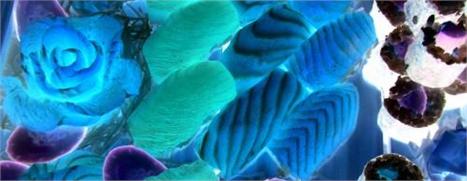 O Kinoshita, um dos melhores restaurantes japoneses de São Paulo, oferece a partir desta segunda-feira um cardápio especial.