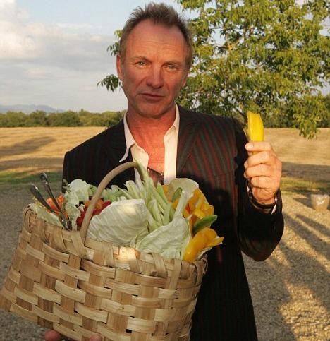 O cantor Sting está explorando novos negócios…